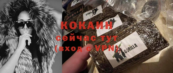 сатива Балахна