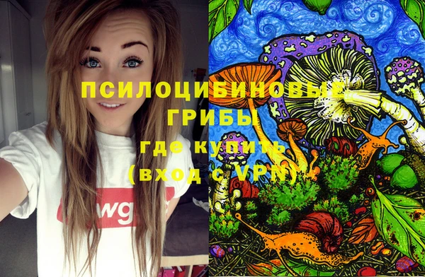 бошки Армянск