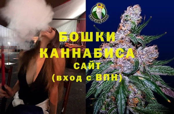 спайс Алексин