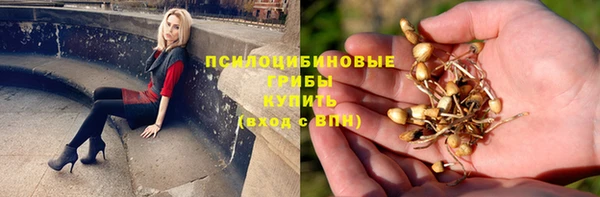 бошки Армянск