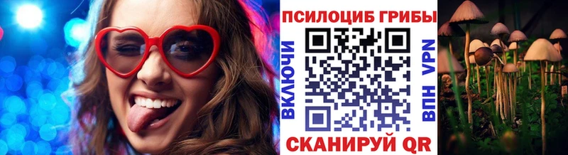 даркнет сайт  Пустошка  Галлюциногенные грибы Magic Shrooms 